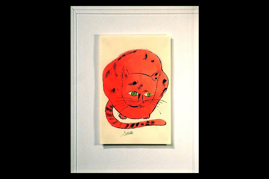 サムという名のネコ